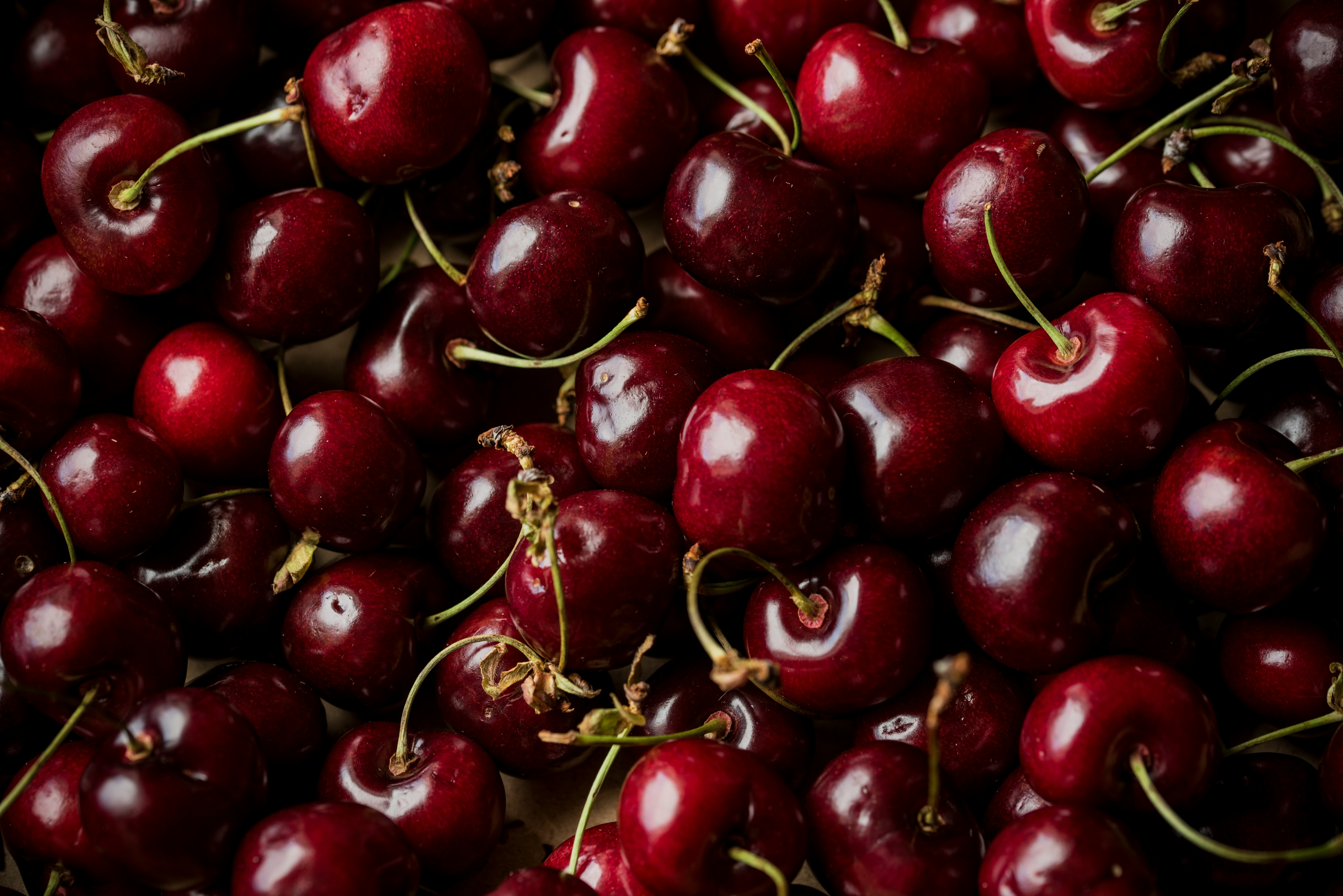 Fresh cherries